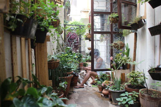 Transform Your Backyard with a DIY Outdoor Herb Garden: Creative Planters and Decor Ideas