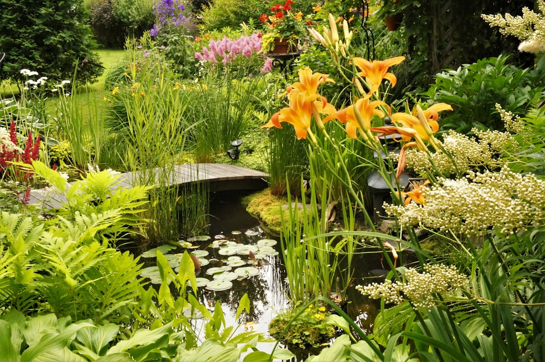 Best Pond Plants for a Small Patio Water Garden: What to Buy First