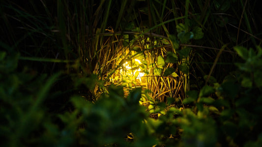 How to Choose Solar Pathway Lights for a Small Front Yard: A Smart Buyer’s Guide