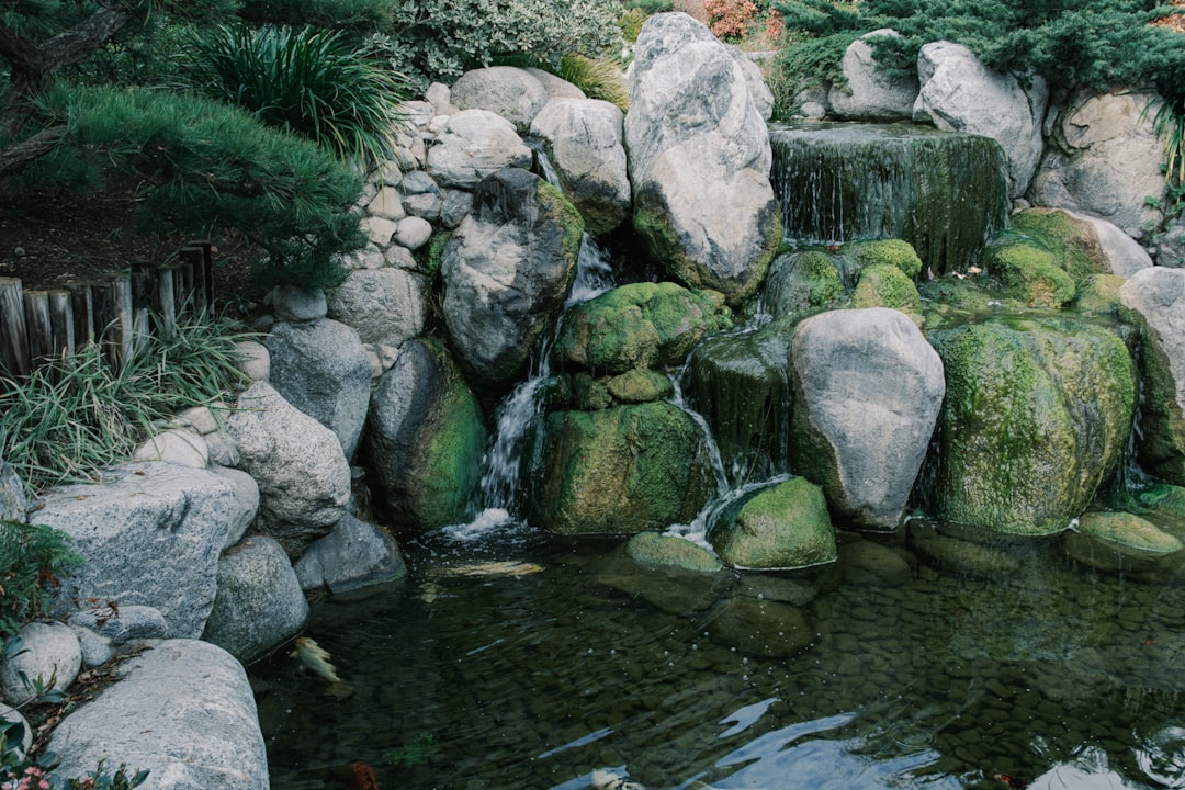 Pond Fountain vs Waterfall: Best Choice for a Small Backyard Pond