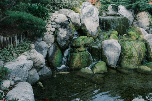 Pond Fountain vs Waterfall: Best Choice for a Small Backyard Pond