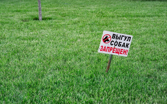 Garden Flags vs Yard Signs: Best Rental Front Yard Décor for Style, Flexibility, and Curb Appeal