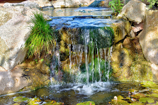 Best Small Water Features for a Shady Patio: What to Look For Before You Buy