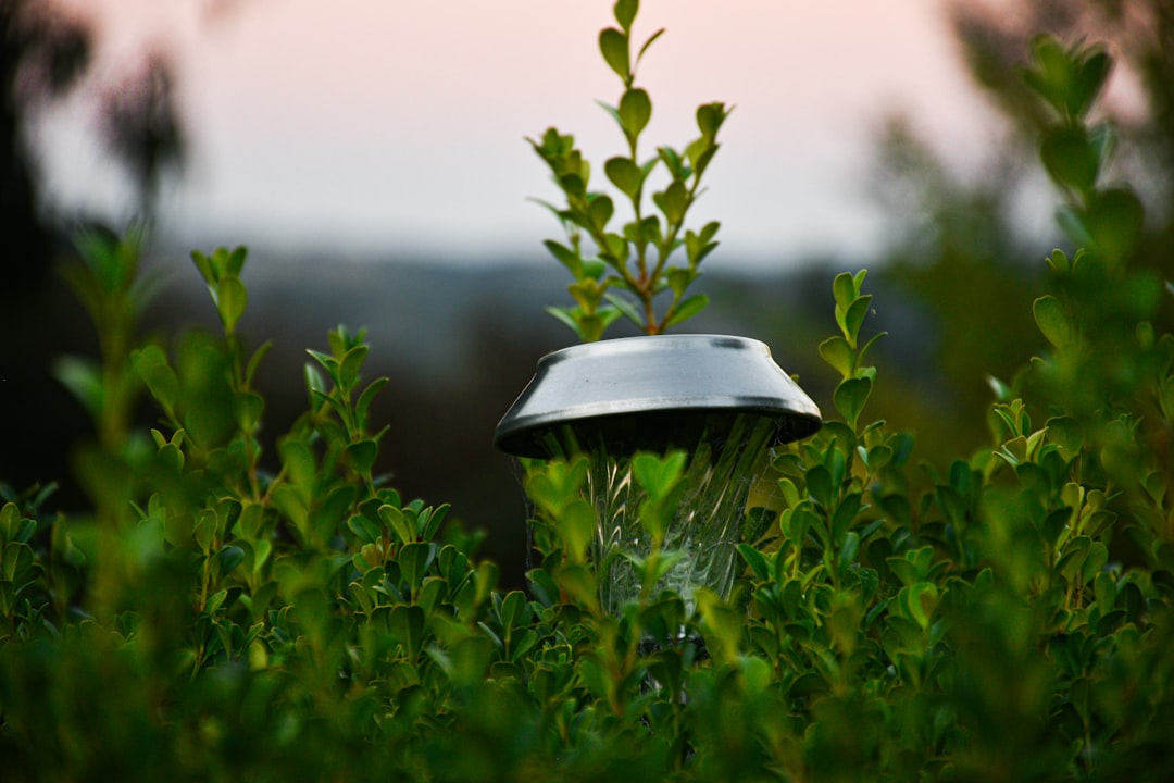 How to Stop Solar Pathway Lights from Looking Patchy at Night