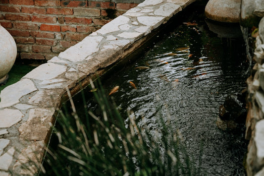 Pond Fountain vs Waterfall: Best Water Feature for a Small Backyard