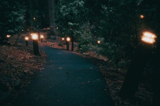 Solar Pathway Lights vs Lanterns: Best Choice for a Dark Front Walkway
