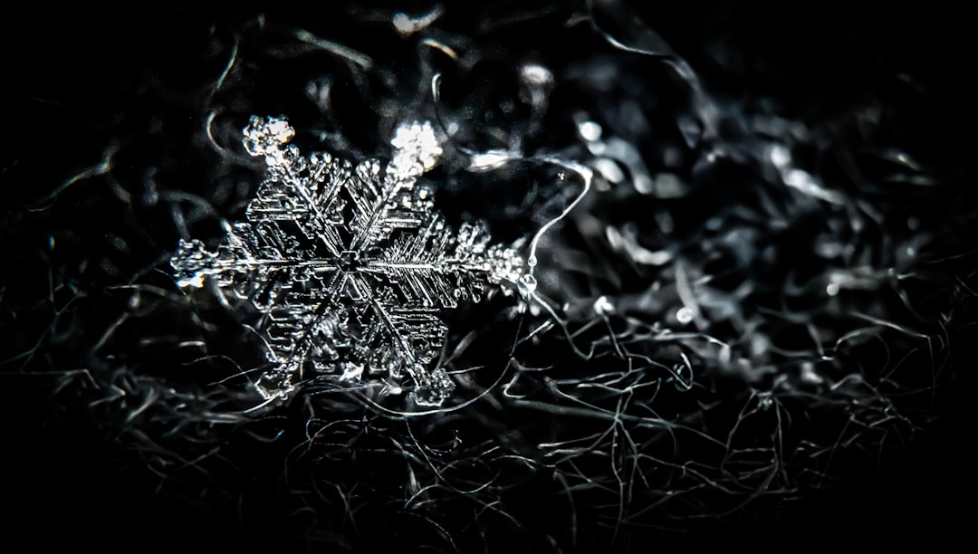 How to Use Snowflake Yard Stakes to Brighten a Winter Front Walk