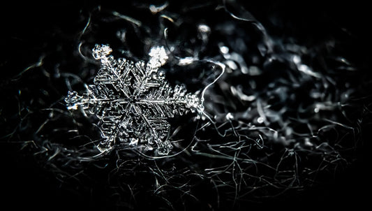 How to Use Snowflake Yard Stakes to Brighten a Winter Front Walk