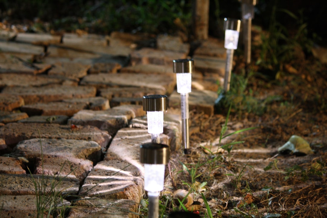 Best Solar Pathway Lights for a Shaded Front Yard: Buyer’s Guide to Brighter, Smarter Outdoor Style