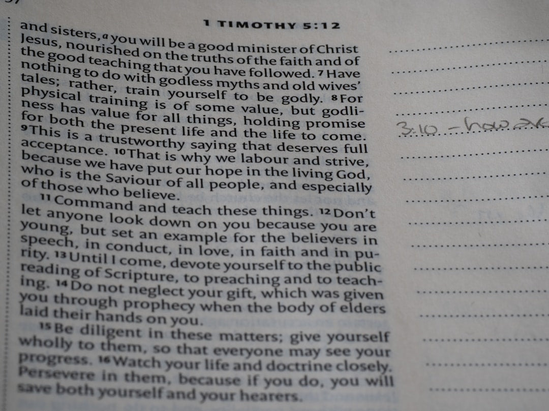 Garden Decor Ideas for a Welcoming Outdoor Space That Feels Thoughtfully Styled