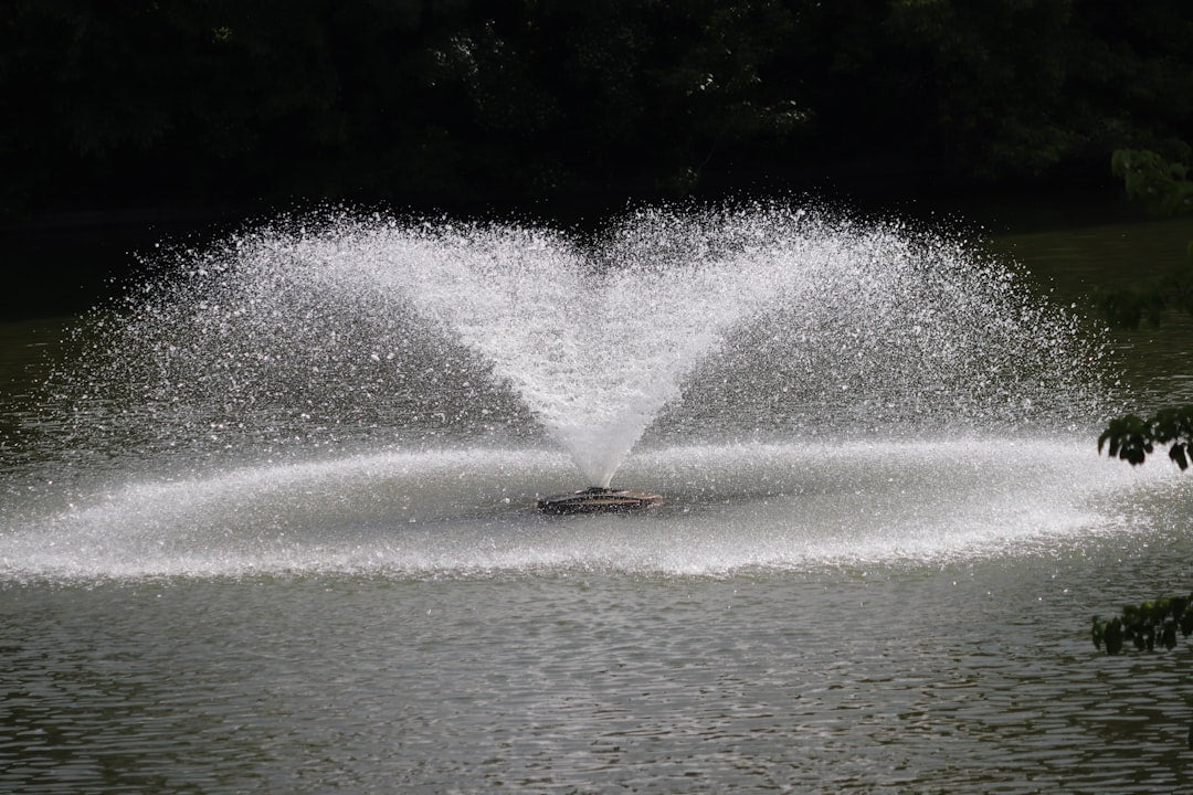 Best Pond Fountain Accessories for Keeping Backyard Water Clear