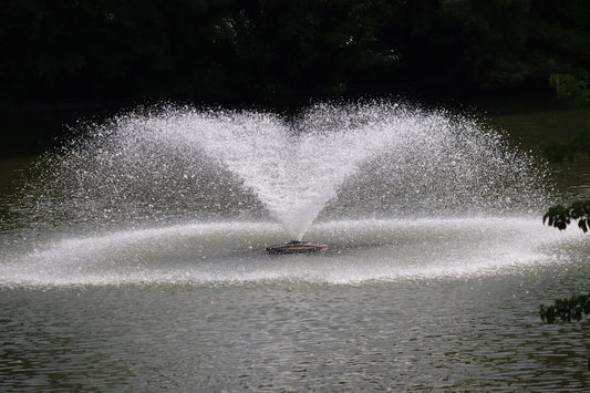 Best Pond Fountain Accessories for Keeping Backyard Water Clear