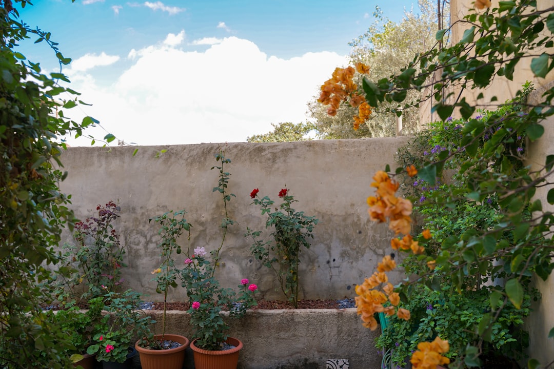 Transform Your Backyard with Stunning DIY Outdoor Wall Art Ideas