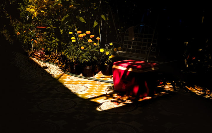 How to Use Solar Pathway Lights to Make Your Garden Safer, Brighter, and More Inviting