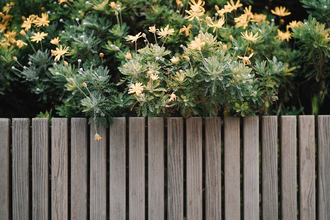 10 DIY Outdoor Planter Ideas to Enhance Your Backyard Decor