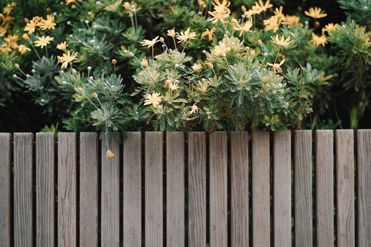 10 DIY Outdoor Planter Ideas to Enhance Your Backyard Decor