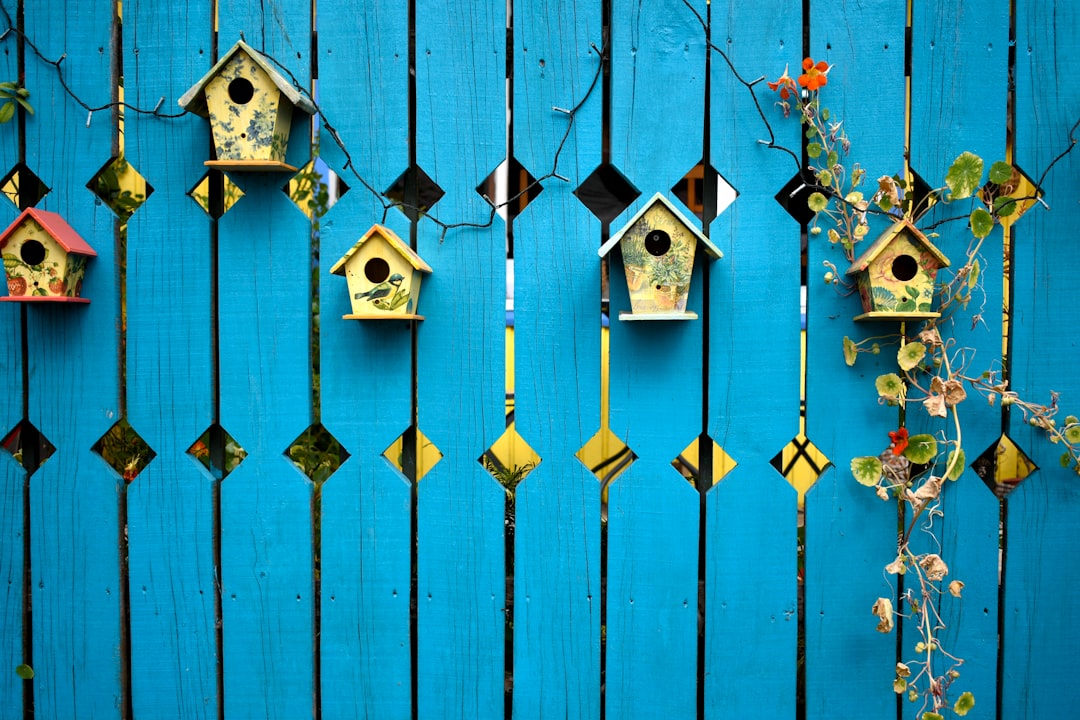 Transform Your Backyard with These 10 DIY Outdoor Decor Projects on a Budget