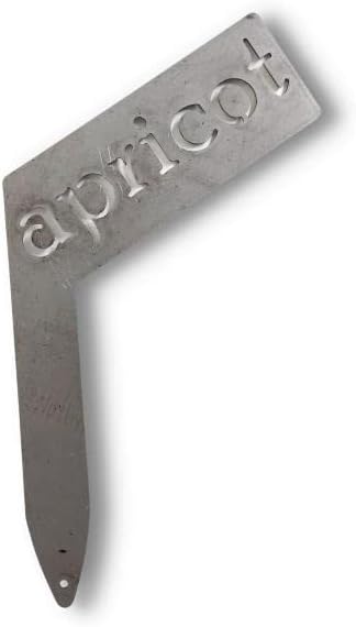 Planter Size Small Metal Garden Plant Vegetable Flower or Herb Markers 13.5 Inches Tall (apricot, Raw, Unfinished Steel)