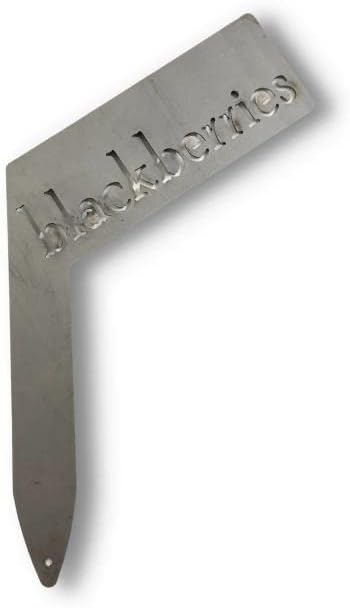 Planter Size Small Metal Garden Plant Vegetable Flower or Herb Markers 13.5 Inches Tall (blackberries, Raw, Unfinished Steel)