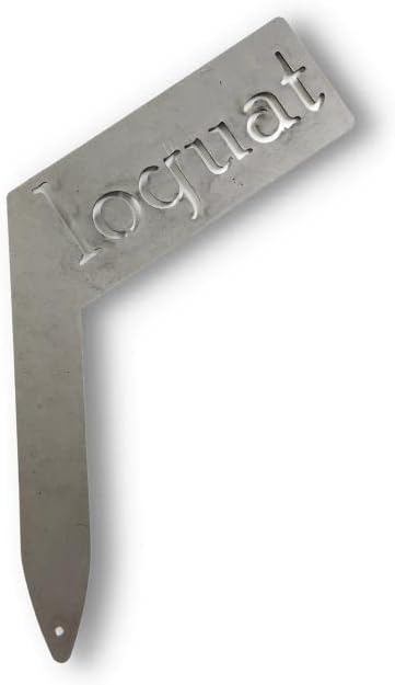 Planter Size Small Metal Garden Plant Vegetable Flower or Herb Markers 13.5 Inches Tall (loquat, Raw, Unfinished Steel)