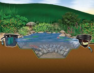 Aquascape DIY Backyard Pond Kit 8 x 11 feet – Complete Water Garden Ecosystem with Pump, Skimmer, and Filter, 99765