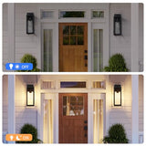 Outdoor Wall Lantern - Matte Black, Clear Glass, 2 Pack