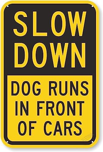 New Warning Plaque Wall Decor Slow Down - Dog Runs In Front Of Cars Sign Courtyard Decoration Office Sign Outdoor & Indoor Safety Sign 8 X 12 Inch