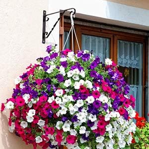 AMAGABELI GARDEN & HOME 4 Pack Hanging Plant Brackets Outdoor 12" Metal Fence Wall Plant Hanger Hooks for Hanging Flower Baskets Bird Feeders Lanterns Wind Chimes Rust-Resistant Black