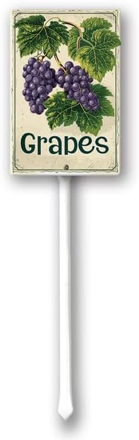 Uptell Vintage Aluminum Grapes Fruit Signs Yard Sign with Stake for Garden Fruit Garden Label Stakes Plant Markers for Outdoor Plants Waterproof 8x12 inch
