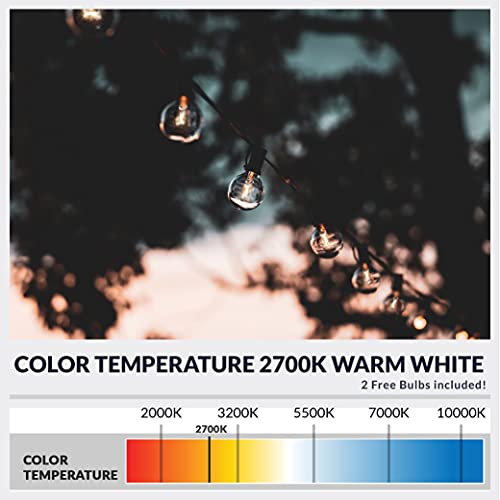 LED G40 String Lights 50ft Warm White with Dimmer Remote