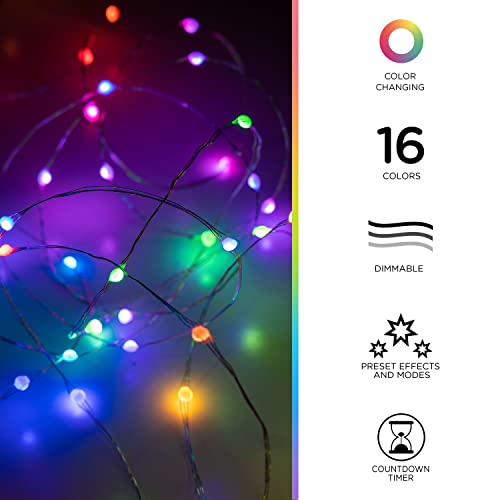 Enbrighten Basics LED String Lights - USB Powered, Color Changing