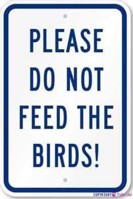 warning plaque Metal Tin Please Do Not Feed The Birds! 16''x12'' Decor Aluminum Wall Office Signs For Outdoor & Indoor Sign