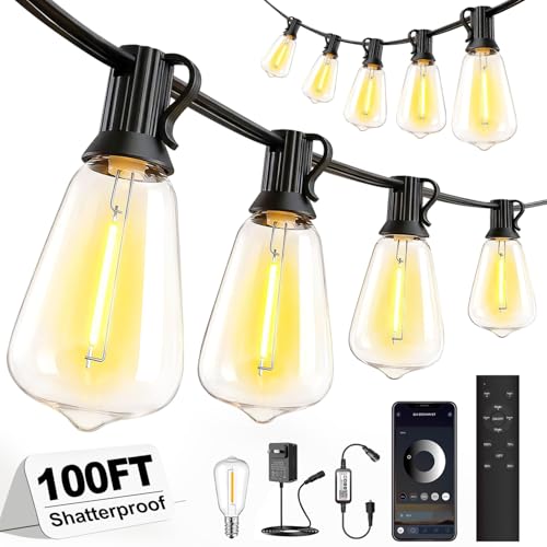 Outdoor String Lights 100FT - APP Control Dimmable LED with Timer