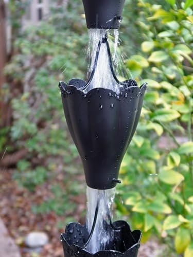 Nutshell Stores XL Scallop Cups Rain Chain - Black - 18 Feet