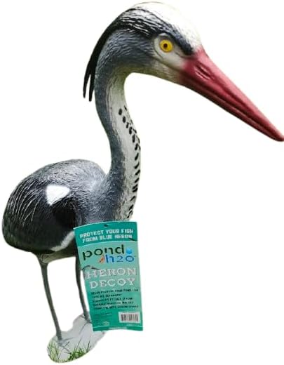 Medium Water Garden Koi Fish Pond Heron Defense Kit, Includes Heron Decoy and Pond Cover Netting, Protects Koi Fish from Blue Heron Birds, Cats & Predators – Reusable & Stakes Included