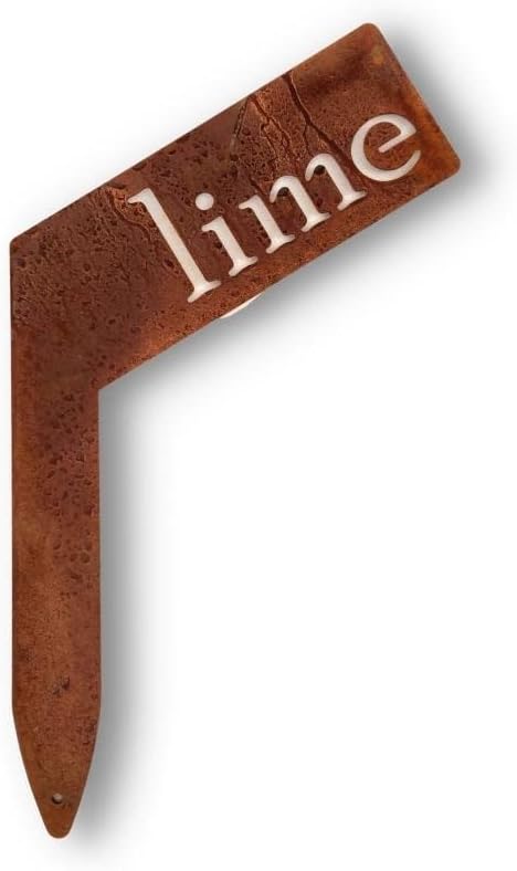 Planter Size Small Metal Garden Plant Vegetable Flower or Herb Markers 13.5 Inches Tall (lime, Naturally Rusted)