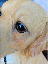 Outdoor Statue Garden Sculpture Garden Dog Statue Sculpture, Resin Dog Art Craft Model Garden Garden Decoration H46CM