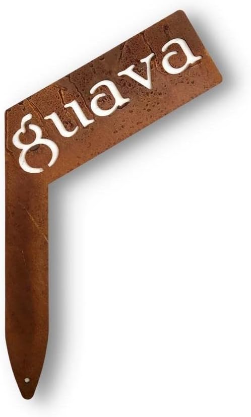Planter Size Small Metal Garden Plant Vegetable Flower or Herb Markers 13.5 Inches Tall (guava, Naturally Rusted)