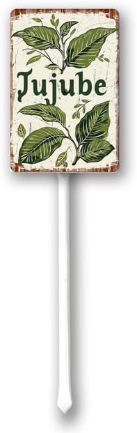 Uptell Vintage Aluminum Jujube Fruit Signs Yard Sign with Stake for Garden Fruit Garden Label Stakes Plant Markers for Outdoor Plants Waterproof 8x12 inch