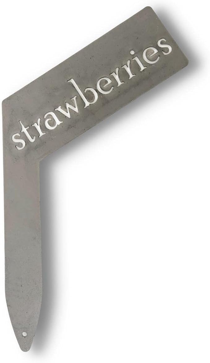 Planter Size Small Metal Garden Plant Vegetable Flower or Herb Markers 13.5 Inches Tall (strawberries, Raw, Unfinished Steel)