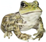 Hi-Line Gift American Bullfrog, Green