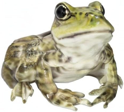 Hi-Line Gift American Bullfrog, Green