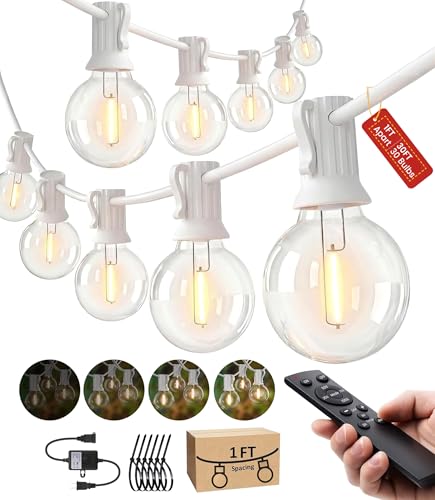 Outdoor String Lights 30FT Waterproof Remote Control