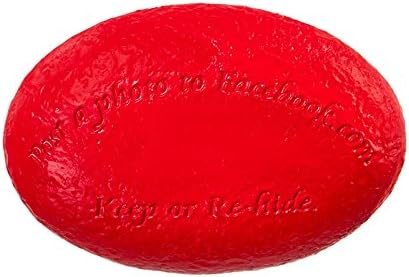 Team Sports America NCAA Your Team Rocks Team Logo Garden Rock