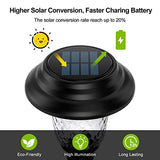 Solar Pathway Lights - 8 Pack Waterproof LED