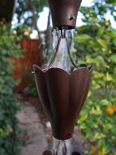 Nutshell Stores XL Scallop Cups Rain Chain - Bronze - 14 Feet
