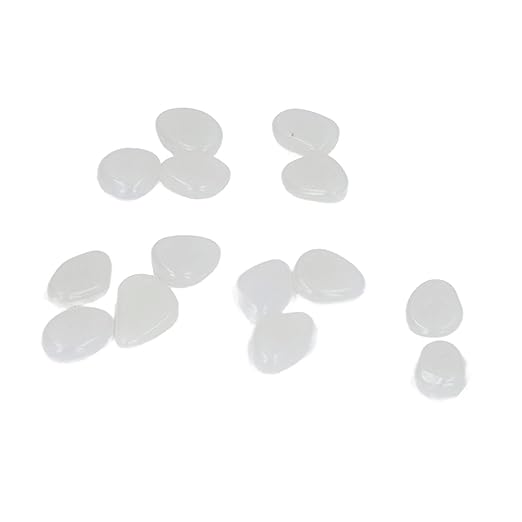 Outdoor Luminous STO Colorful e Luminous or K Garden Courtyard Waly Garden Trails 100 Bag Color Mixed,Garden Decoration Decorative Step STO (White)
