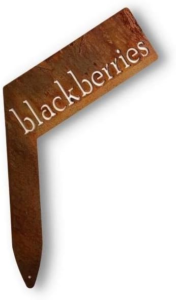 Planter Size Small Metal Garden Plant Vegetable Flower or Herb Markers 13.5 Inches Tall (blackberries, Naturally Rusted)