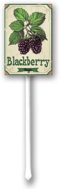 Uptell Vintage Aluminum BlackBerry Fruit Signs Yard Sign with Stake for Garden Fruit Garden Label Stakes Plant Markers for Outdoor Plants Waterproof 7x8.8 inch