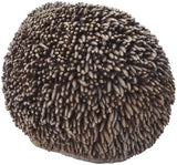 GMPUT Hi-Line Gift Ltd Sitting Hedgehog Statue